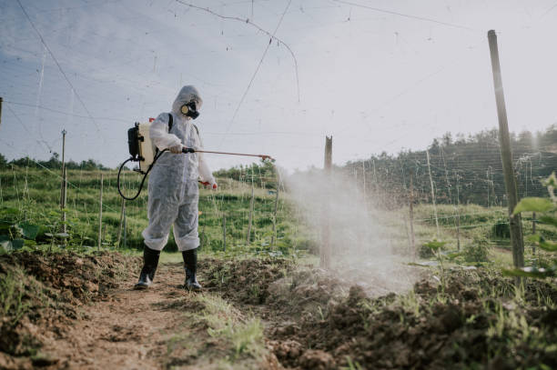 Best Local Pest Control Services  in Dayton, WA