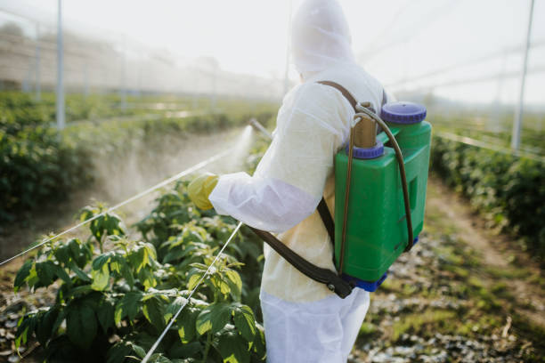 Best Pest Removal Services  in Dayton, WA